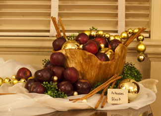 MOTHER EARTH NEWS Spreads the Word About Unique Apples and Artisan Ciders Image